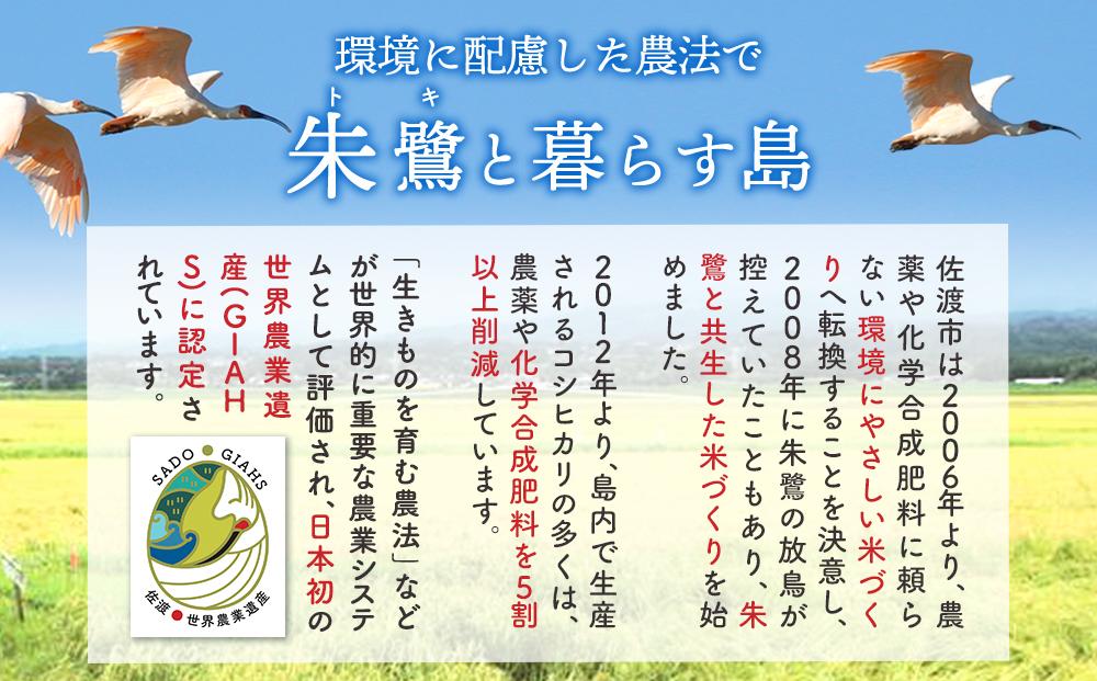 【令和7年度産新米・先行予約】佐渡産コシヒカリ 5kg×2袋セット