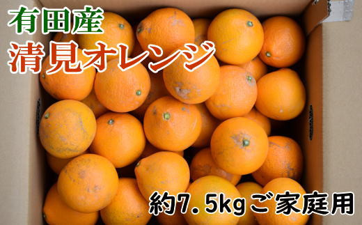 
【産直】有田産清見オレンジ 約7.5kg（訳あり家庭用サイズおまかせまたは混合） ※2025年2月上旬～3月下旬頃次発送予定（日付指定不可）【tec867A】
