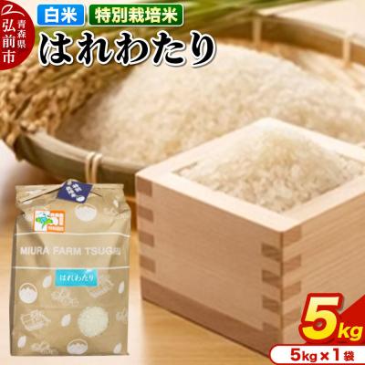 ふるさと納税 弘前市 米【特別栽培米】はれわたり 白米 5kg 青森県弘前市産|24_mft-030501