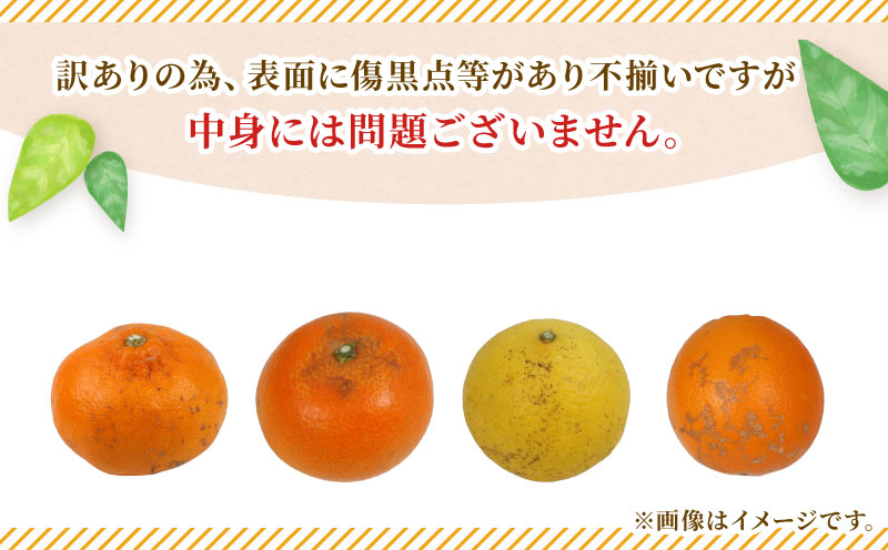 訳あり 季節 の みかん 詰合せ 約 4kg 矢野青果 フルーツ 詰め合わせ セット 柑橘 ミカン 蜜柑 mikan 果物 くだもの 愛媛みかん 愛媛蜜柑 濃厚みかん 産地直送 数量限定 国産 愛媛 