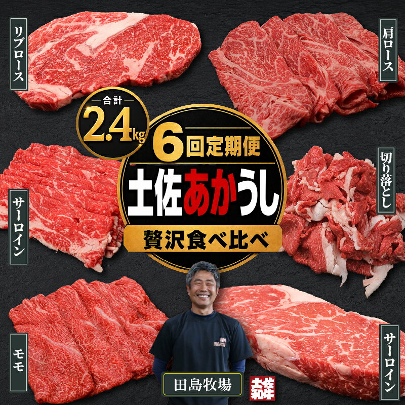 【ふるさと納税】 【6回 定期便】 土佐 あかうし 赤牛 赤身 贅沢 食べ比べ 6種 2.4kg | 和牛 あか牛 アカウシ 牛肉 希少 ブランド 国産 プレゼント ギフト 冷凍 贈答 高知県 南国市