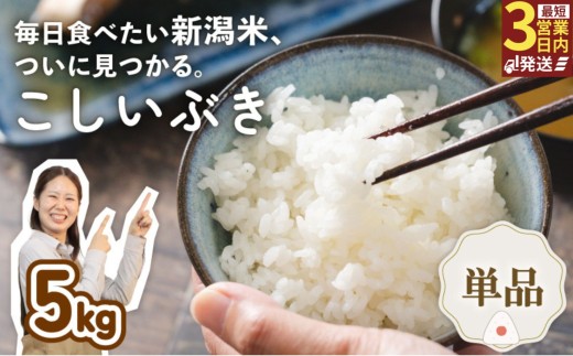 令和7年産 新潟県産こしいぶき 5kg 新潟県 新潟産 新潟米 新発田産 新発田 お米 米 こしいぶき とんとん市場 せいだ 5kg 数量限定 玄米 とんとん市場のお米 D85_04