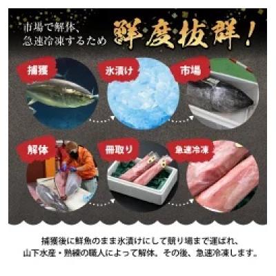 ふるさと納税 福井市 【市場直送】高鮮度急速冷凍 国産本まぐろ赤身&中トロ2種セット 各約100g(柵) 合計約200g |  | 03