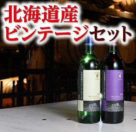 【ふるさと納税】北海道産ビンテージセット ワイン ヴィンテージ 赤ワイン 白ワイン セット 贈答 送料無料 本格ワイン 高品質