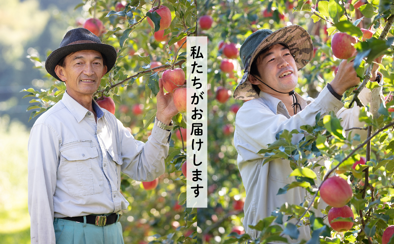 《2025年10月下旬以降順次発送》羽山のりんご　秋茜L〜2Lサイズ5kg【斎藤りんご園】