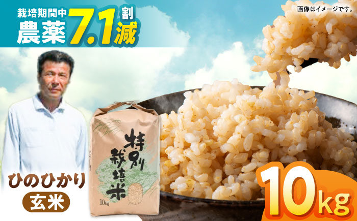 【先行予約】【R7年新米】九州のこだわり「ひのひかり」玄米10kg / 米 おこめ お米 玄米 ひのひかり / 諫早市 / 上島農産 [AHAS004] 新米 しんまい