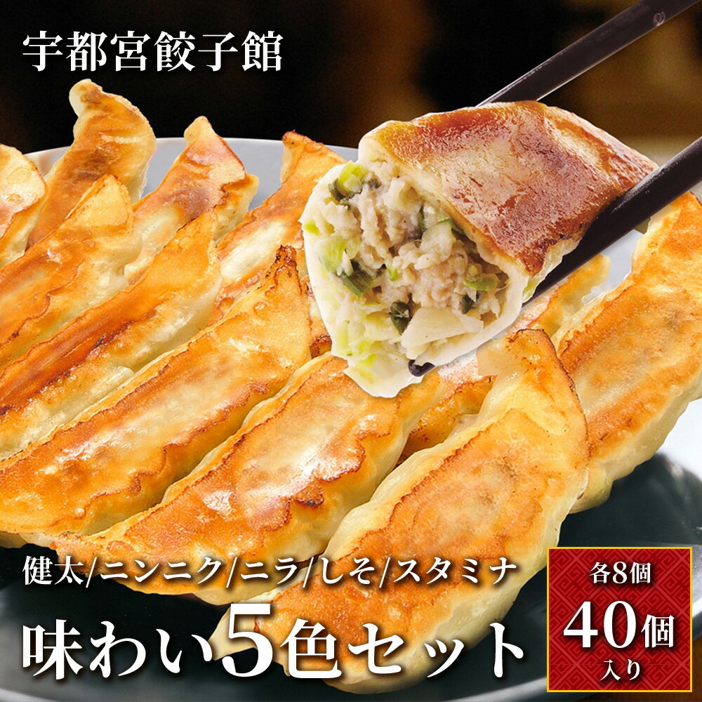 【ふるさと納税】「宇都宮餃子館」味わい5色セット (各8個入り) ｜ 餃子 冷凍 ぎょうざ 食べ比べ 栃木県 宇都宮市