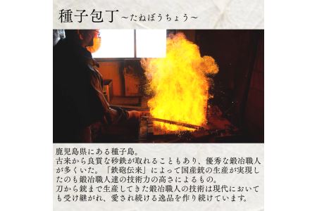 種子島 伝統工芸 種子 包丁 片刃出刃 13cm 樫柄　NFN423 【1875pt】