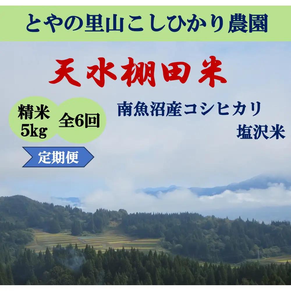 令和8年新米予約定期便【天水棚田米】特別栽培米雪蔵熟成塩沢産コシヒカリ精米5kg6回「とやの里山継承プロジェクト」｜コシヒカリ【2026年10月下旬より順次発送予定】