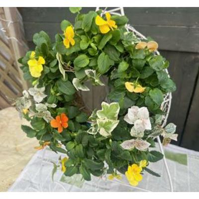 ふるさと納税 藤枝市 パンジー・ビオラとアリッサムorアイビーのハンギングリース寄せ植え |  | 02