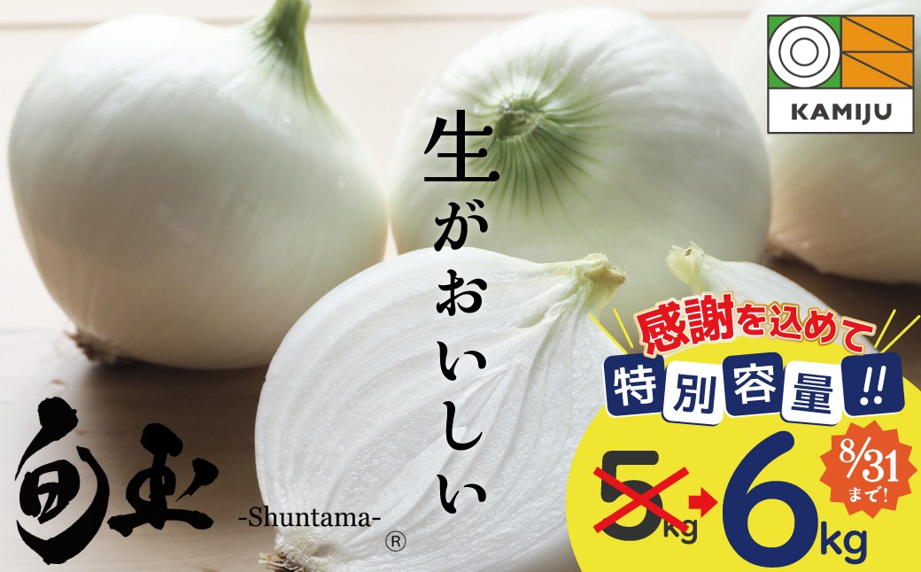 
                  【7/1～8/31受付限定】 5kg→特別容量6kg (2027年発送) ≪『満天☆青空レストラン』で紹介されました！≫ 新玉ねぎ 生がおいしい 神重農産のブランド玉ねぎ「旬玉」6kg ブランド玉ねぎ 玉ねぎ 国産 愛知県産 野菜 やさい 農家直送 畑直送 旬 期間限定 たまねぎ 先行予約 旬 特産 高評価 高リピート 人気 日本テレビ H105-273
                