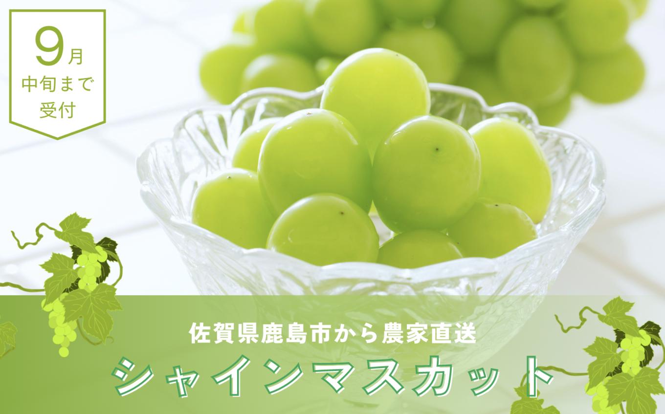 画像はイメージです。