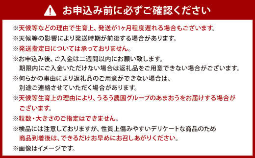 うるう農園 サイズ色々 あまおう 4パック（約1140g）