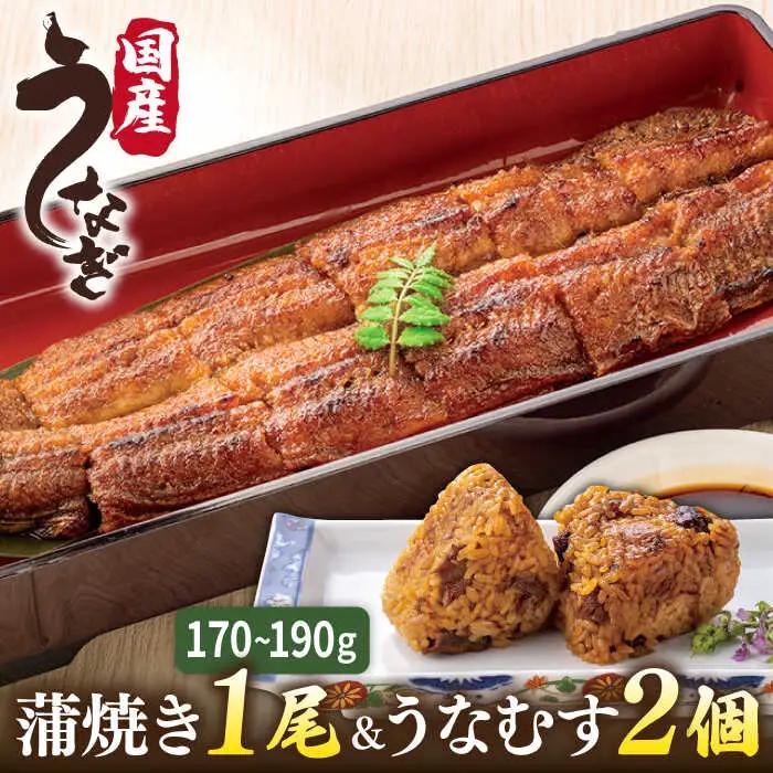 蒲焼き 1尾 うなむす 2個 うなぎ 詰め合わせ  [ACL006] 鰻 うなぎ かばやき おにぎり