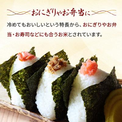 ふるさと納税 旭川市 令和7年産特Aランク 精白米 旭川産ななつぼし5kg_05448 |  | 03