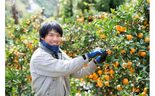 【先行予約】温州みかん（生果）5kg（2025年11月上旬より順次発送） IKTF013