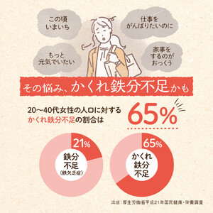 鉄分 サプリ ルミエル 鉄 10mg フェリチン鉄 ヘム鉄 葉酸 栄養機能食品 6袋（6ヶ月分）