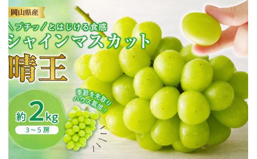 土-23　シャインマスカット 晴王 ハウス栽培 約2kg 岡山県産 ぶどう御中元 ギフト 御礼 プレゼント 御礼 御祝 御供 果物 くだもの フルーツ