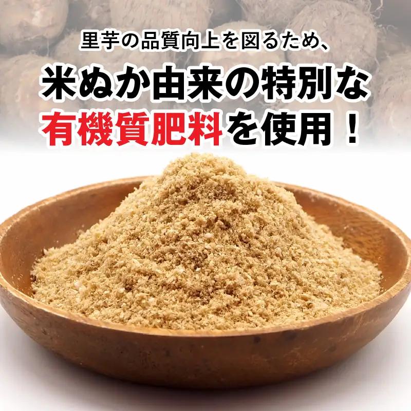 【先行予約】【満天☆青空レストランでご紹介】上田農園 上庄特産さといも 3kg【10月下旬から順次発送】年内発送
