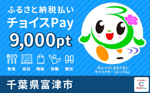 
富津市チョイスPay 9000pt（1pt＝1円）【会員限定のお礼の品】
