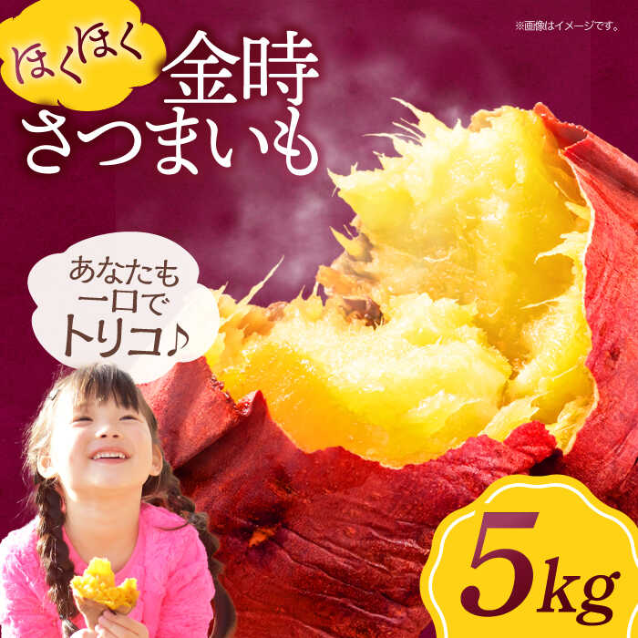 【ふるさと納税】さつまいも（ 金時 ）5kg 大洲市/愛たい菜[AGAP012] いも 芋 さつまいも 薩摩芋 さつま芋 野菜 野菜セット やさい やさいセット 新鮮野菜 愛媛県産 大洲市産 産地直送 おすすめ 人気 お取り寄せ 送料無料 贈答 ギフト