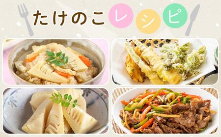貝塚市木積産　特選朝掘り筍　約２kg / たけのこ筍 徳用たけのこ筍 木積産たけのこ筍 貝塚産たけのこ筍 朝堀りたけのこ筍 限定品たけのこ筍