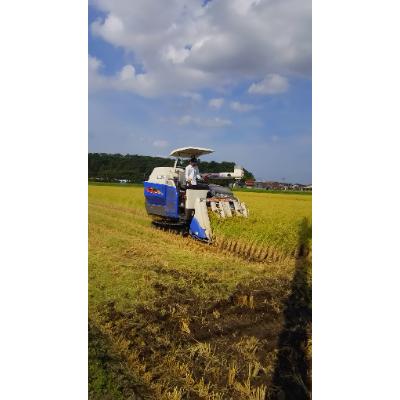 ふるさと納税 能美市 自家栽培コシヒカリ(姫九谷)5kg　　精米 |  | 03