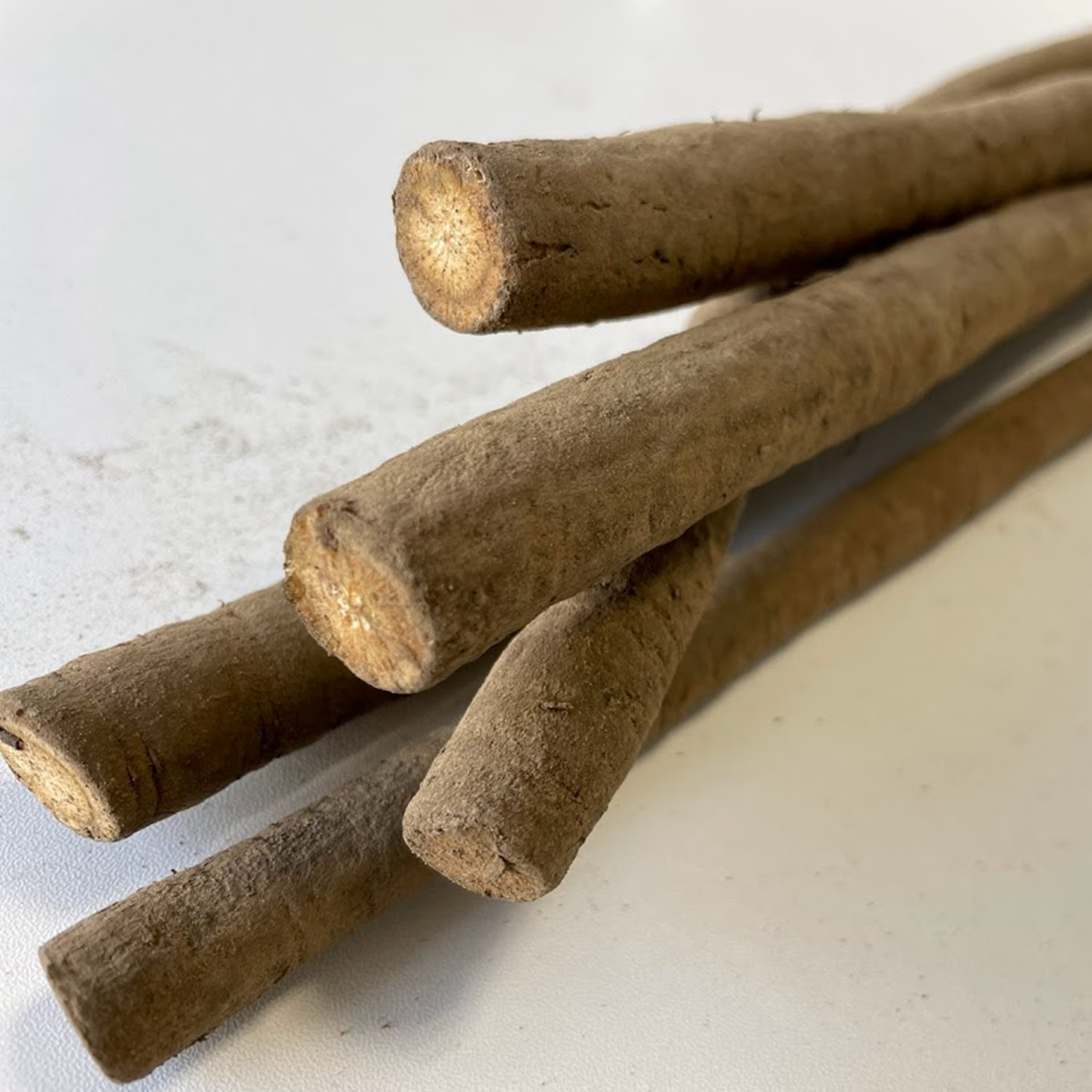 十勝の秋の味覚野菜詰め合わせ（ごぼじゃがセット）【2026年秋出荷】（先行受付）【工房みみずく】