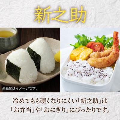 ふるさと納税 南魚沼市 【令和7年産】南魚沼産 新之助 15kg 精米 新潟県 南魚沼市 |  | 02