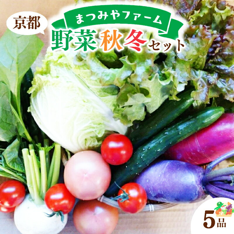 【ふるさと納税】京都・まつみやファームの京都の野菜秋冬セット（5品） 野菜 セット 詰め合わせ 春菊 ブロッコリー 白菜 大根 トマト ほうれん草 水菜 旬 京都 農家直送 ふるさと納税 野菜