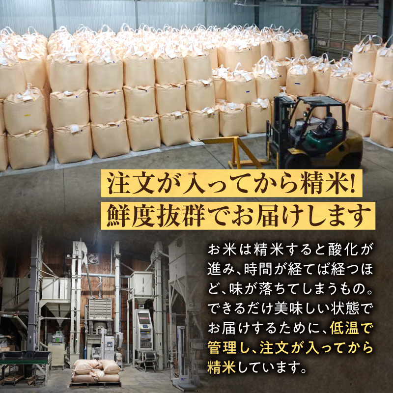 【定期便全2回】 北海道産 ななつぼし 精米 定期便 2kg 2回 特A 雨竜町 お米 米 厳選 人気 令和7年産 