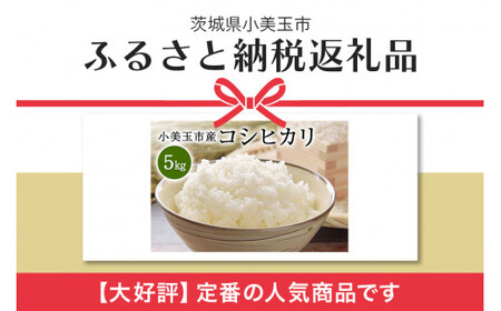 令和5年産 特別栽培米コシヒカリ 5kg こしひかり お米 白米 リピーター続出 特別栽培 天然肥料 茨城県 小美玉市 14-C