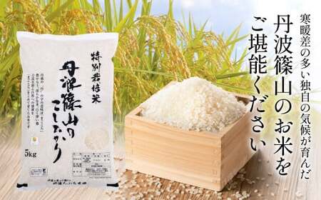 【お米定期便】令和7年 特Aランク特別栽培米 コシヒカリ 精米 10kg（全12回）特A お米 定期便 丹波たぶち農場