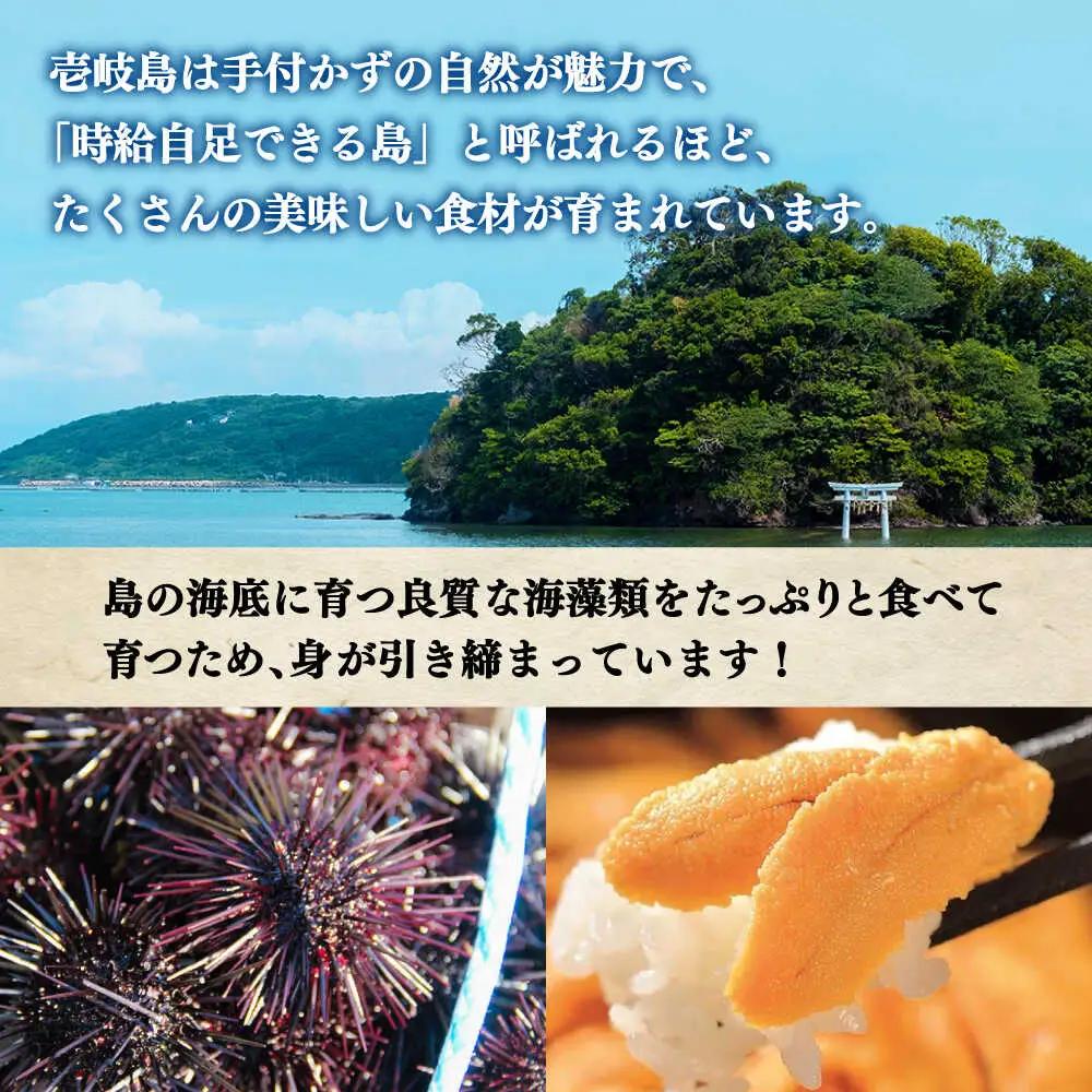 【全6回定期便】 生うに うにめしの素 セット 《壱岐市》[JZX016] うに セット