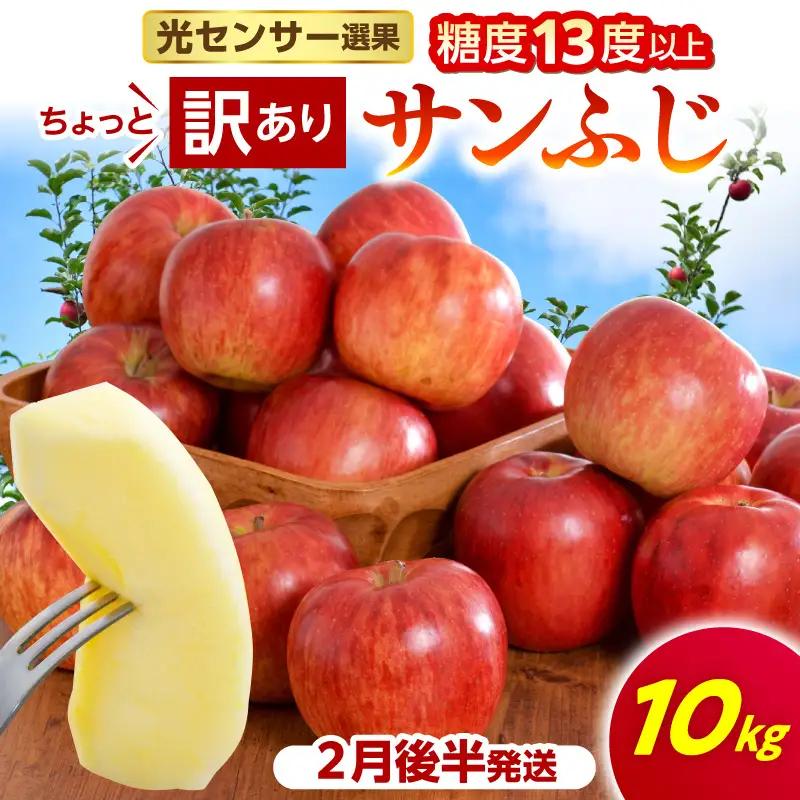 【2027年2月後半発送】【ちょっと訳あり】 りんご 約10kg サンふじ 青森県産 りんご