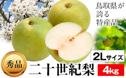 
										
										＜2024年先行予約＞【秀品】二十世紀梨 4kg 2Lサイズ さんチョク《9月上旬-9月末頃出荷》---yazu_snt4_31_2l---
									