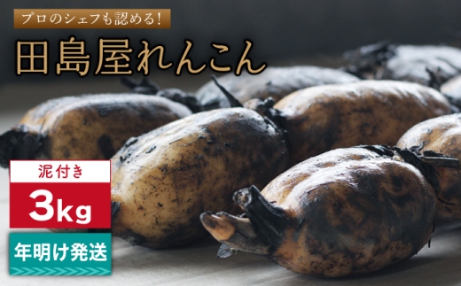 【年明け発送】れんこん3kg（泥付き） [IAV009]