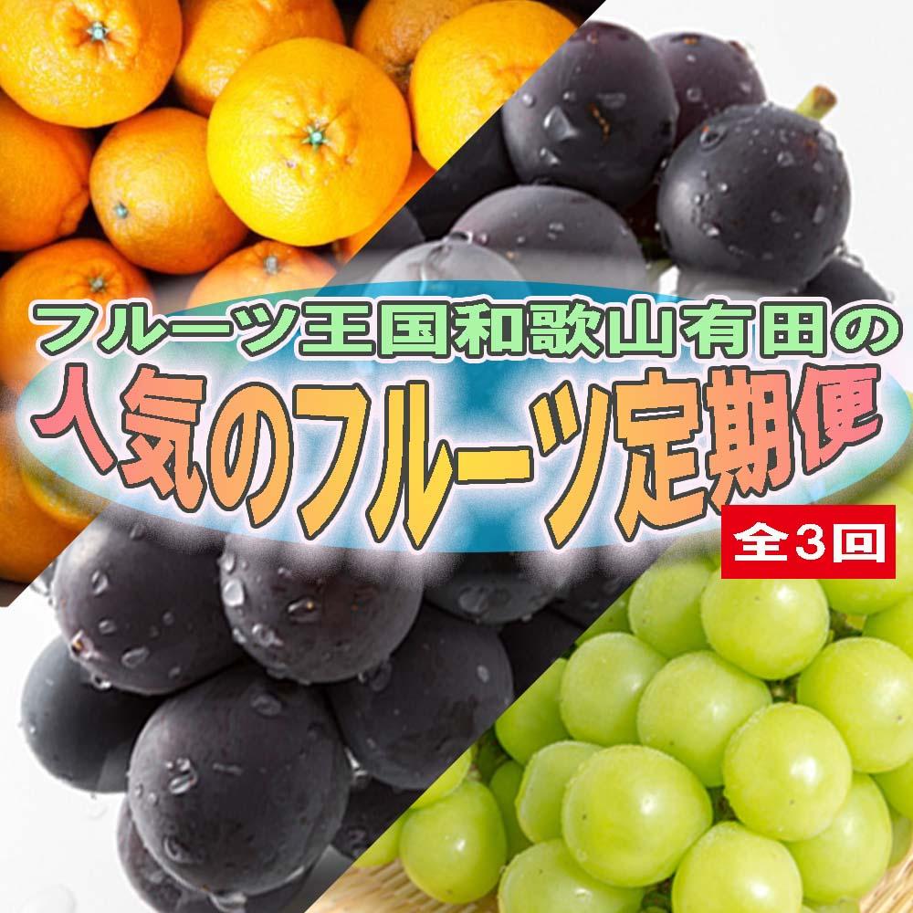 【ふるさと納税】定期便全3回【3月・8月・9月発送】フルーツ王国和歌山の人気フルーツ定期便（不知火・たねなし巨峰・シャインマスカット） | フルーツ 果物 くだもの 食品 人気 おすすめ 送料無料 定期便 産地直送
