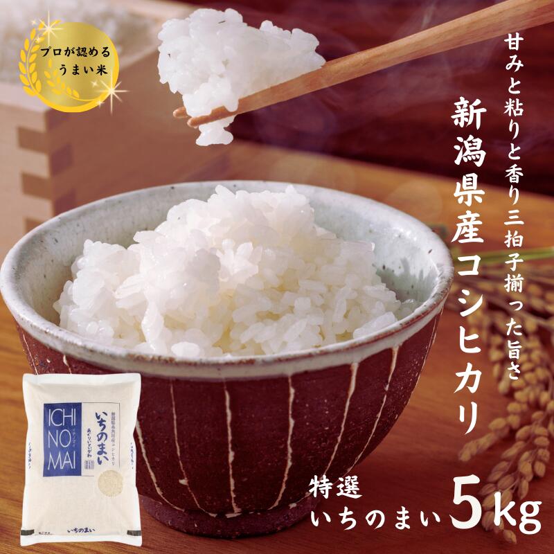 【ふるさと納税】 米 コシヒカリ【令和7年産】『特選いちのまい』5kg 新潟県産 糸魚川産 白米 食味鑑定士お墨付き 精米したてを発送 清らかな湧水と澄んだ空気に育まれた恵みの米 新潟米 農家直送 おにぎり お弁当 コシヒカリ5kg 糸魚川農業興舎 あぐりいといがわ
