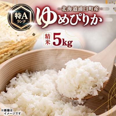 ふるさと納税 浦臼町 【先行予約 令和8年産】浦臼町産　ゆめぴりか(精米)5kg　特A　お米　