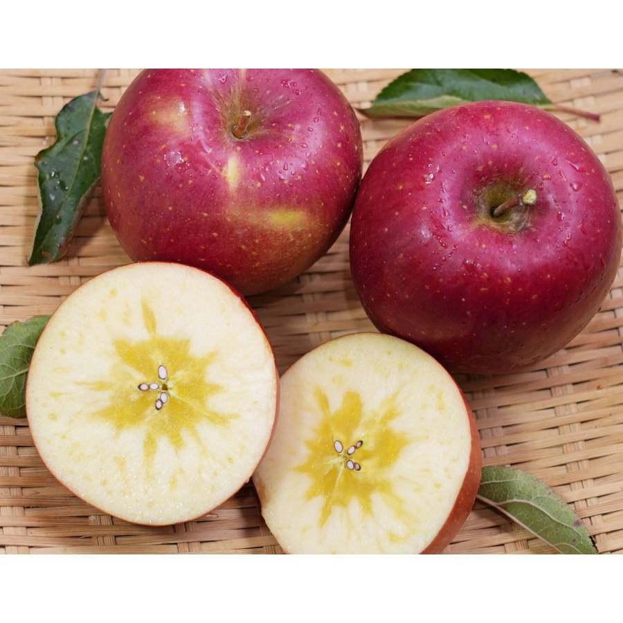 葉とらずサンふじ家庭用10kg/平均糖度13度以上【もったいない！を食べよう】11月発送