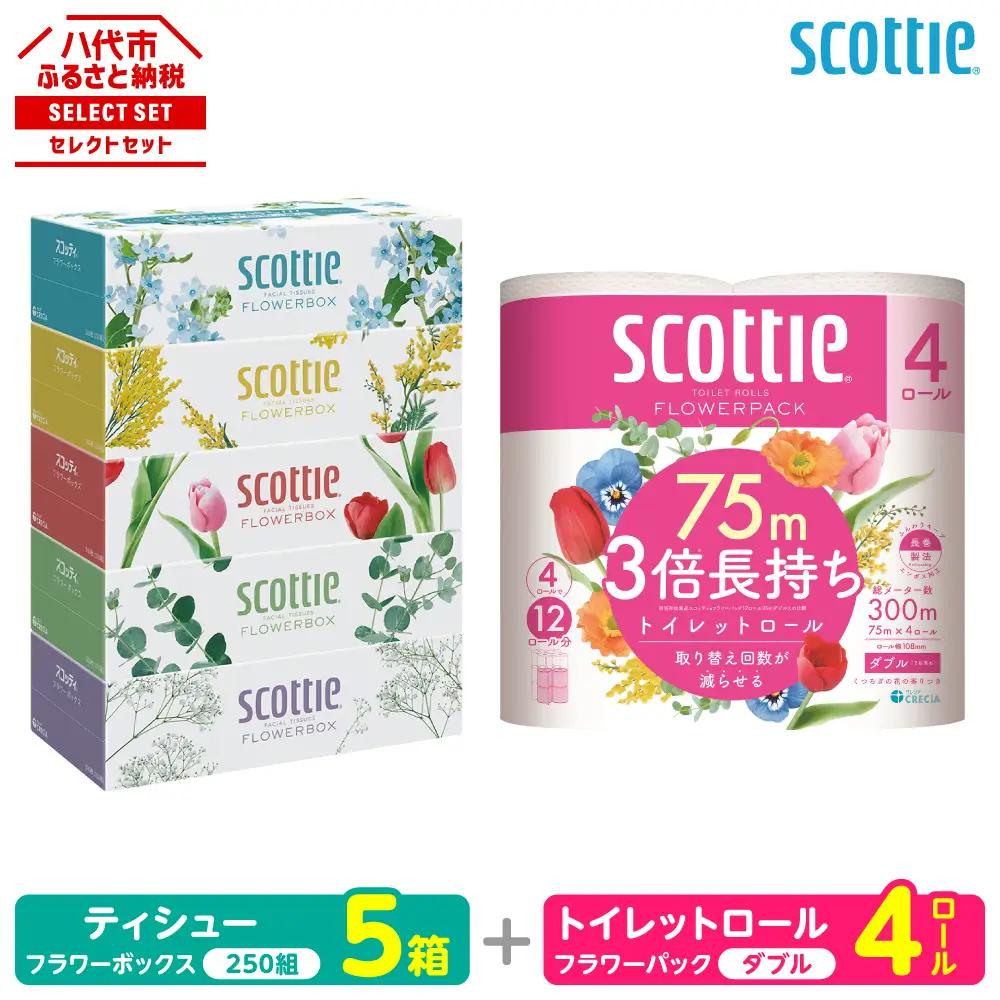 トイレットペーパー ダブル 4ロール ＋ ティッシュ 5箱 セット スコッティ ティッシュ トイレット