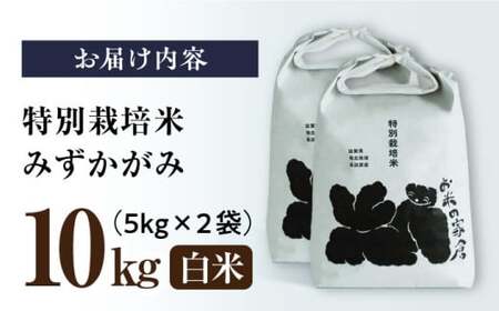 【令和6年度産】特別栽培米みずかがみ　5kg×2袋　白米　滋賀県長浜市/株式会社お米の家倉[AQCP056]