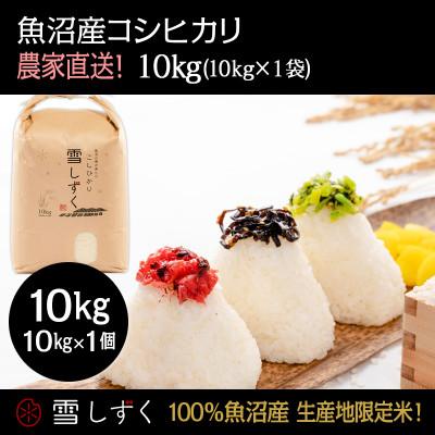ふるさと納税 十日町市 令和7年産!魚沼産コシヒカリ 雪しずく【農家直送!】 精米10kg×1袋