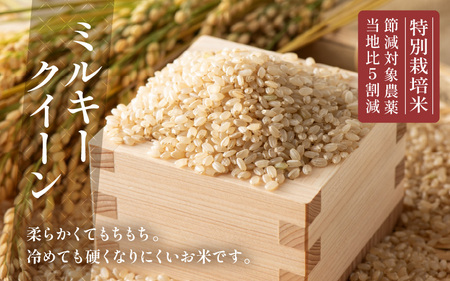 【令和7年産】発芽玄米 特別栽培米 ミルキークイーン 真空パック 3kg 米 玄米 ギャバ [A-29117]