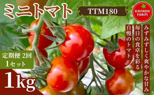 《先行予約》【定期便2ヶ月】ミニトマト（TTM180）1kg 1セット 新鮮野菜 旬 サラダ デザート お弁当 朝食 料理用 そのまま食べる おうちごはん お取り寄せ 産地直送 贈り物 手土産 愛知県 豊橋市