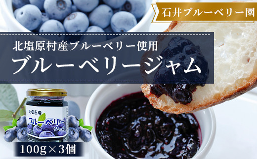 ブルーベリージャム100g×3個セット(石井ブルーベリー園) 【ふるさと納税 人気 おすすめ ランキング ブルーベリージャム 新鮮 フレッシュ 福島県 北塩原村 送料無料】 KBI001
