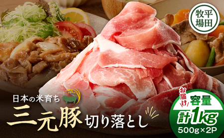 日本の米育ち平田牧場 三元豚切り落とし 500g×2パック（計1kg）　T036-004 肉 豚肉
