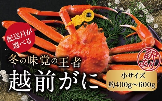 【2026年3月発送・月指定可】越前がに（オス）「ずわいがに」（400g～600g） 訳あり 1杯