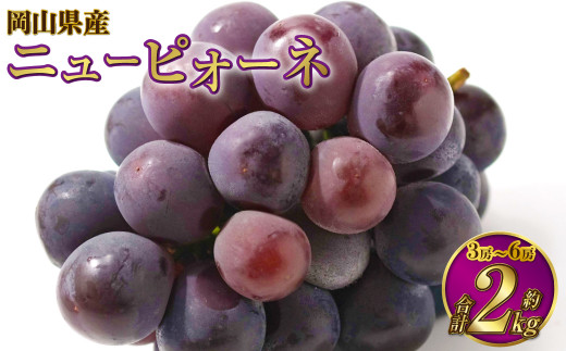 岡山県産 ニューピオーネ 約2kg（3房～6房） 【2025年8月下旬～9月下旬迄発送予定】 果物 くだもの フルーツ ぶどう ブドウ 葡萄